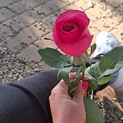 Outubro Rosa no Grupo Dago: um momento de cuidado e conexão